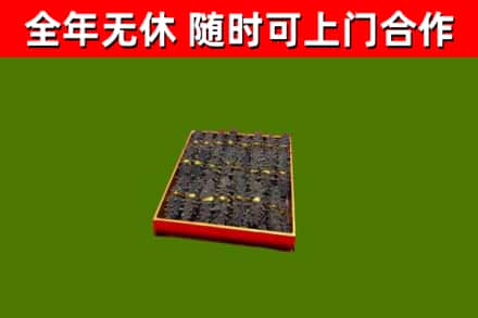 通化回收海参